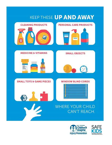 Keep medications and household chemicals out of reach of children and pets