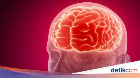 Kerusakan pada Otak dan Sistem Saraf