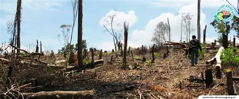 Kerusakan sumber daya alam