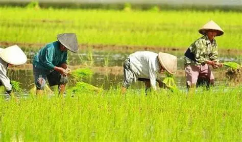 Ketergantungan pada Sumber Daya