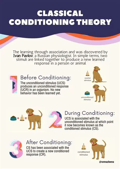 Key Aspects of Classical Conditioning