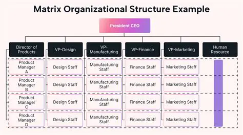 Key Characteristics of a Matrix Organization