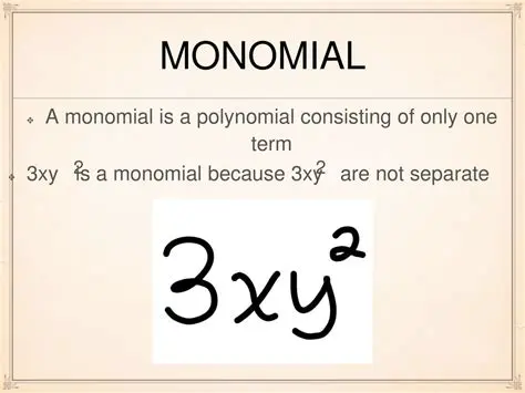 Key Characteristics of a Monomial