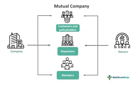 Key Characteristics of a Mutual Benefit Corporation