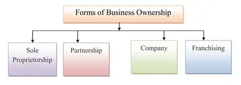Key Characteristics of Each Ownership Format