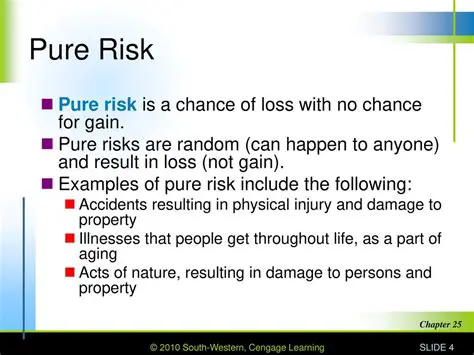 Key Characteristics of Pure Risk