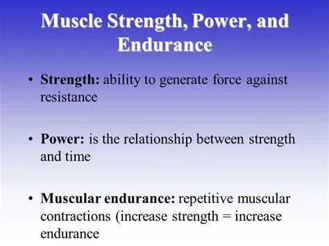 Key Differences Between Strength and Muscular Endurance