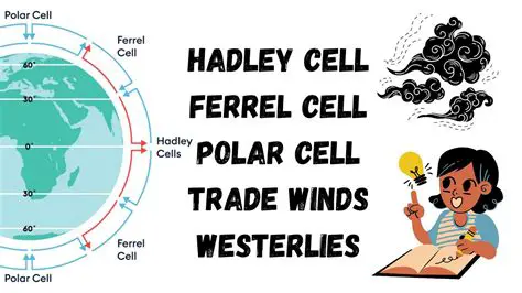 Key differences between the Hadley Cell and the Polar Cell