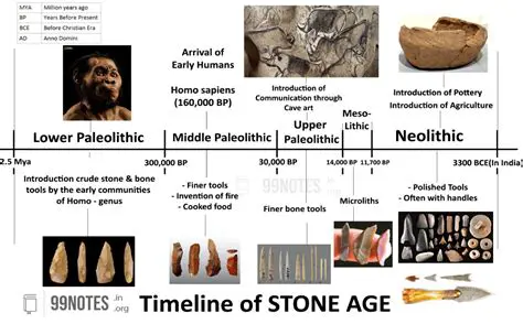 Key Differences Between the Mesolithic and Paleolithic Periods