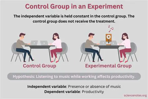 Key Differences Between the Treatment Group and the Control Group