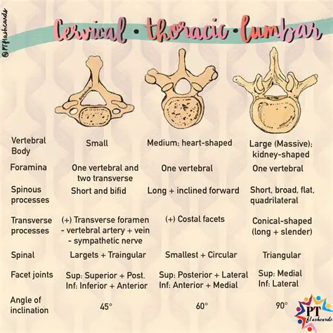 Key differences between TRNs and CSPRNs