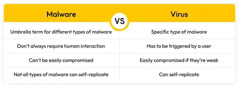 Key Differences Between Viruses and Malware