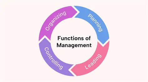 Key Distinct Areas of Management