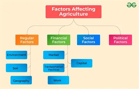 Key Factors in Increasing Farming Production