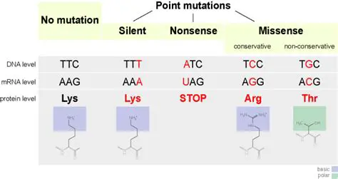 Key Factors in PNS Mutation Settings