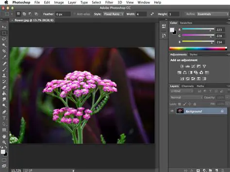 Key Features of Adobe Photoshop Album
