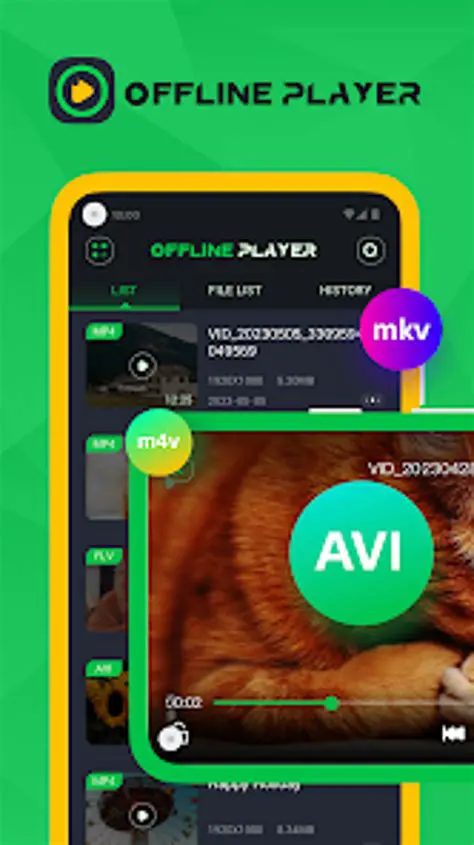 Key Features of Agora Offline Player