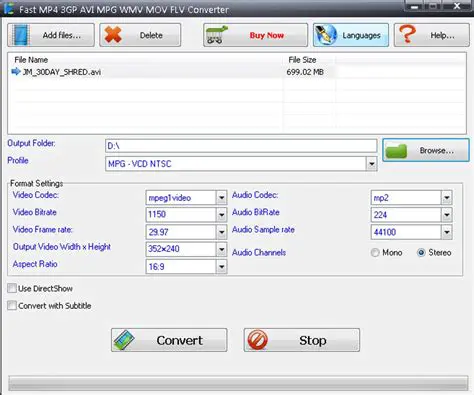 Key Features of Agree MP4 to AVI WMV MOV 3GP FLV Converter