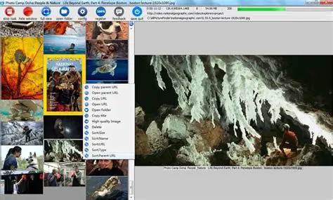 Key Features of All Picture Finder