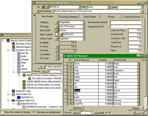 Key Features of Almyta Control System