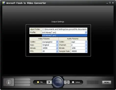 Key Features of AnvSoft Flash to Video Converter