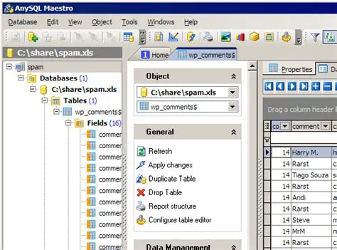 Key Features of AnySQL Maestro
