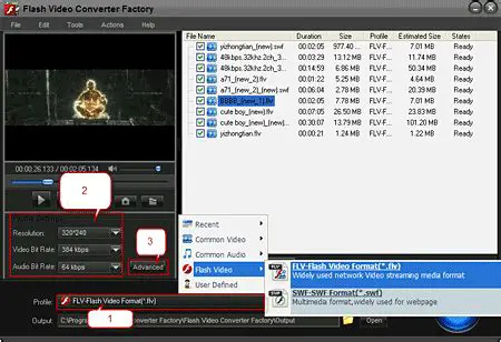 Key Features of Anyviewsoft Free Flash Video Converter