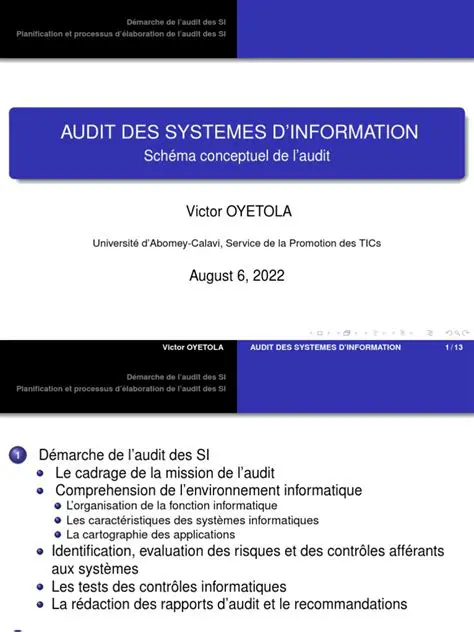 Key Features of Audit4 Client