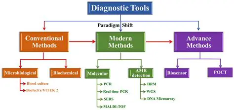 Key Features of Avid System Diagnostic Tools