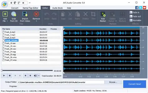 Key Features of AVS Audio Converter
