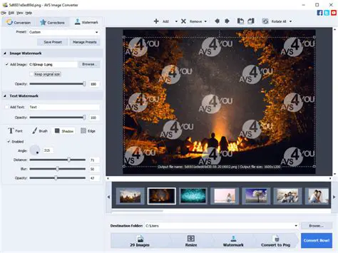 Key Features of AVS Image Converter