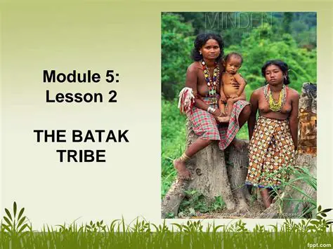 Key Features of BaTTaK 2011