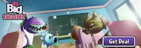 Key Features of Big Brainz