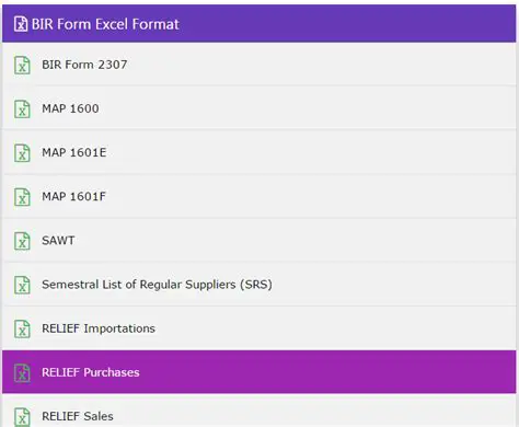 Key Features of BIR Excel Uploader