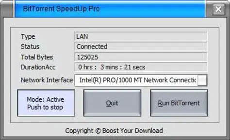 Key Features of BitTorrent SpeedUp Pro