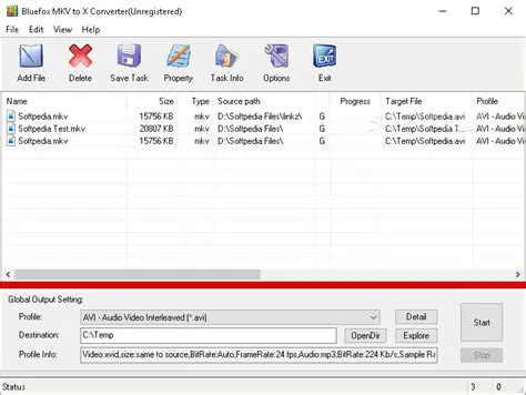 Key Features of Bluefox MKV to X Converter