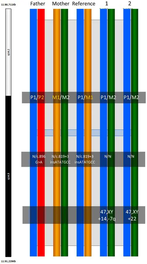 Key Features of BlueFuse Multi