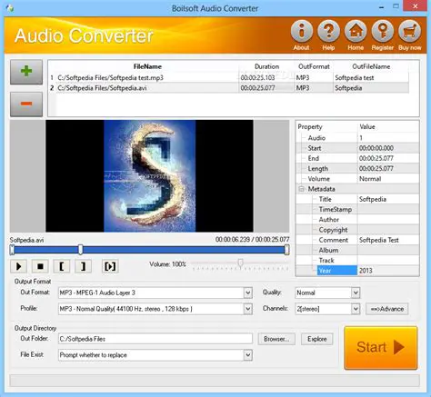 Key Features of Boilsoft WMV Converter