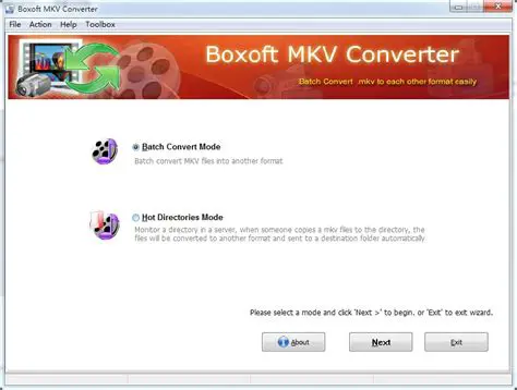 Key Features of Boxoft WMV Converter