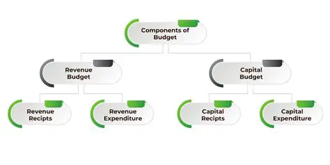 Key Features of Budget Organizer Deluxe