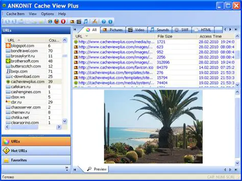 Key Features of Cache View Plus