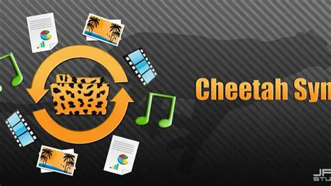 Key Features of Cheetah Sync