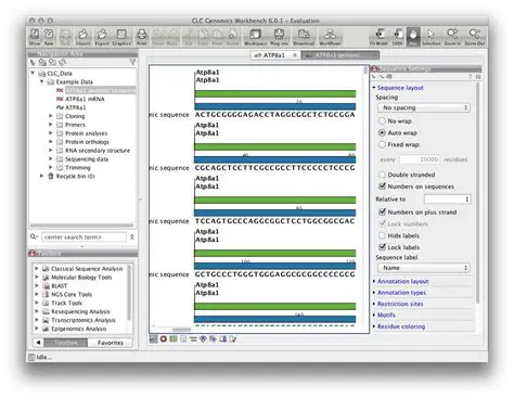 Key Features of CLC DNA Workbench