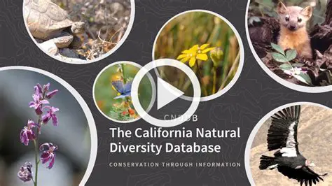 Key Features of CNDDB RareFind