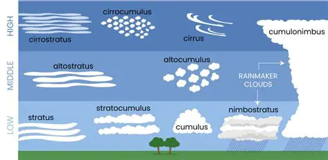 Key Features of Cumulus Viewer