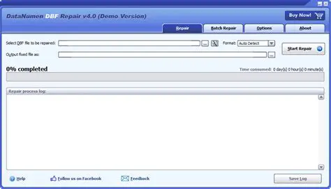 Key Features of DBF Repair Free