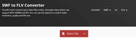 Key Features of DDVideo Swf to Flv Converter Standard