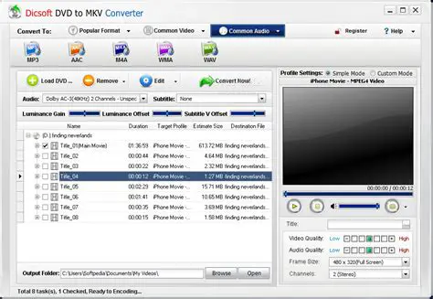 Key Features of Dicsoft DVD to WMV Converter