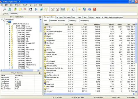 Key Features of DiskAnalyzer Professional