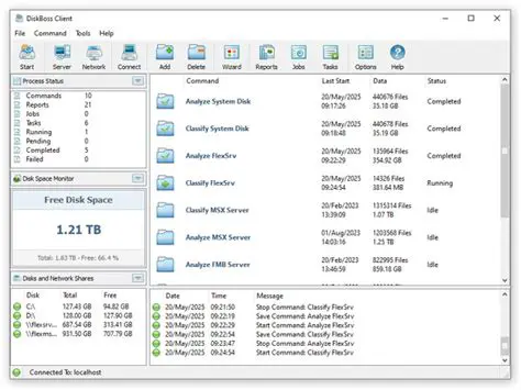Key Features of DiskBoss Server